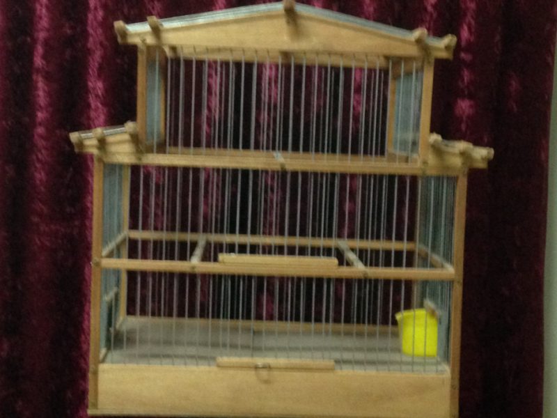 Cage au Canari