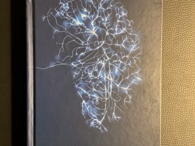 SHADES OF MY MIND ( livre en français)