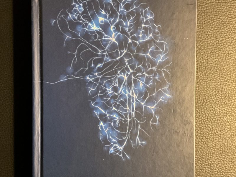 SHADES OF MY MIND ( livre en français)