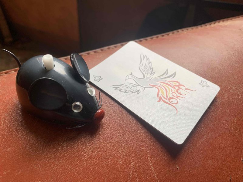 Klaus the Mouse - Card Shark