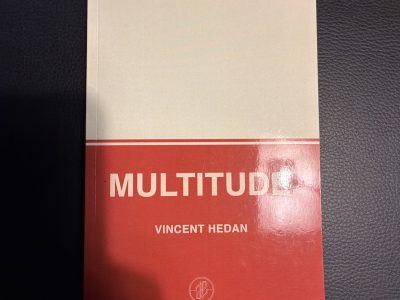 MULTITUDE de Vincent HEDAN