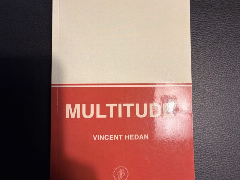 MULTITUDE de Vincent HEDAN